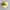Fucking Awesome One & Only Hat Yellow photo 3