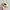 Fucking Awesome One & Only Hat Yellow photo 4