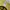 Fucking Awesome One & Only Hat Yellow photo 5