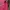 Sirmione dear cross aop graphic top photo 5