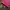 Sirmione dear cross aop graphic top photo 4