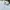 Nina ricci logo white polo shirt  photo 5