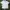 Nina ricci logo white polo shirt  photo 4