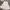 mini dress fairy brukat renda  photo 1