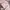 atasan hanbok korea nude pink bordir photo 1