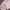 atasan hanbok korea nude pink bordir photo 3