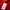 Sportswear Jersey Pria red photo 2
