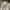 Jacket Lightweight The North Face White photo 1