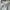 Jacket Lightweight The North Face White photo 4