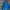 Jacket Outdoor New Balance Blue