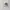 Nike Zoom Vomero 5 Platinum Tint photo 1