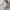 Nike Zoom Vomero 5 Platinum Tint photo 2