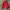 Jacket Outdoor Light Deuter Red photo 1