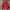 Jacket Outdoor Light Deuter Red