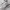 Nike Zoom Vomero 5 Photon Dust Metallic Silver photo 2