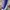 Converse CT Low Canvas PURPLE OX US ORIGINATOR 42 photo 3