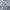Jersey FILA Big logo warna putih bersih photo 3