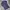 Polo shirt Ralph Lauren Navy big logo photo 2