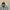 Vintage oakley lighweight padded jacket putih photo 2