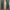True Religion Streetwear Skinny jeans Wanita blue photo 3