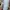 Converse Leather PRO BLAZE PLUS White 42|5 photo 3
