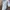 Converse Leather PRO BLAZE PLUS White 42|5 photo 2