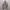 Montbell trekking jacket stretch pink photo 1
