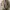 Outer wool sherpa flanel veterano photo 7