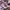 ADIDAS CAMPUS 00s BLISS LILAC BLACK photo 5