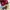 ADIDAS CAMPUS 00s photo 6