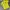 Polo shirt RL Kuning Big logo depan belakang photo 2