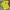Polo Shirt RL Kuning Big Logo Depan Belakang
