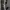Lingerie wanita jaring warna hitam photo 6