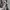 Lingerie wanita jaring warna hitam photo 4