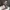 Lingerie wanita jaring warna hitam photo 1