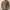 HNM Curduroy Sherpa Trucker Jacket photo 9