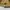 Benetton Style Blanked Sherpa Curduroy Jacket photo 7
