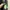 DC Shoes Snowboard Gorpcore Outdoor Jacket Camouflage photo 8