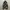 DC Shoes Snowboard Gorpcore Outdoor Jacket Camouflage