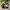 DC Shoes Snowboard Gorpcore Outdoor Jacket Camouflage photo 3