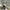 DC Shoes Snowboard Gorpcore Outdoor Jacket Camouflage photo 1