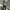 DC Shoes Snowboard Gorpcore Outdoor Jacket Camouflage photo 2