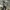 DC Shoes Snowboard Gorpcore Outdoor Jacket Camouflage