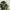 DC Shoes Snowboard Gorpcore Outdoor Jacket Camouflage photo 2