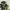DC Shoes Snowboard Gorpcore Outdoor Jacket Camouflage