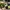 DC Shoes Snowboard Gorpcore Outdoor Jacket Camouflage photo 9