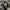 Schott Perfecto NYC 118 Motorcycle Leather Jacket photo 8