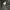 Schott Perfecto NYC 118 Motorcycle Leather Jacket photo 7