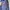 Dress Midi V-Neck Navy Studio Preloved photo 4