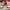 Converse CT Hi Canvas Big Logo Red CT100 Preloved Size 42 photo 8